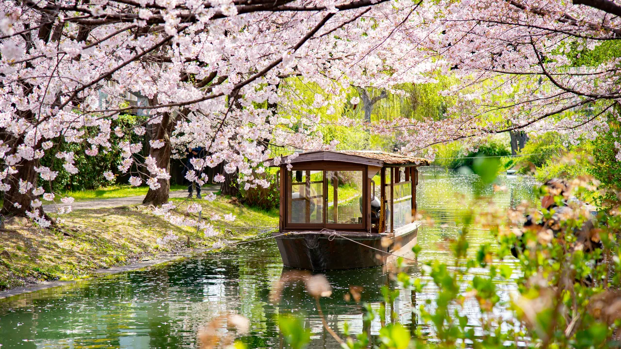 Skönheten i Japan