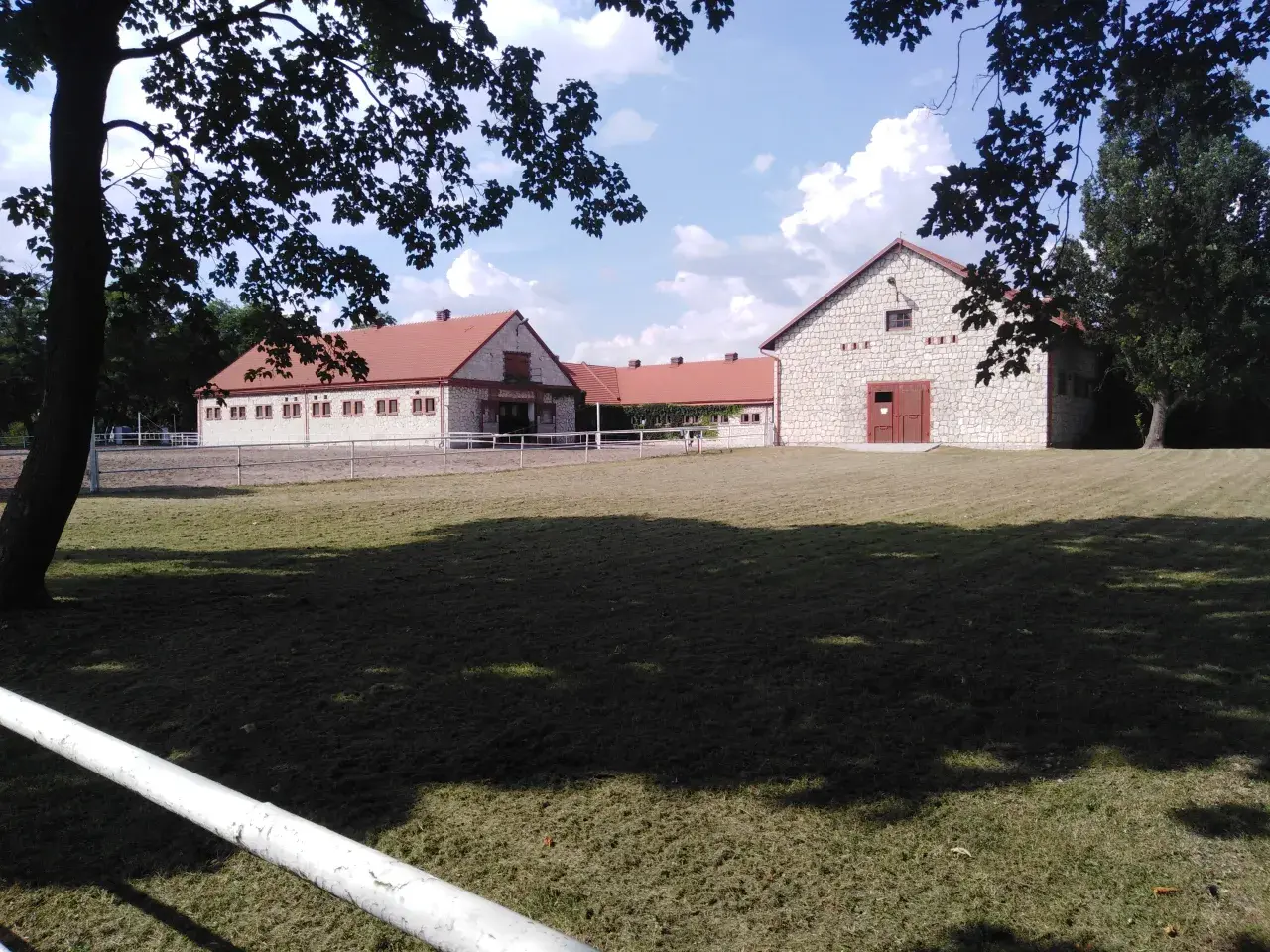 Arabiska hästar i Polen