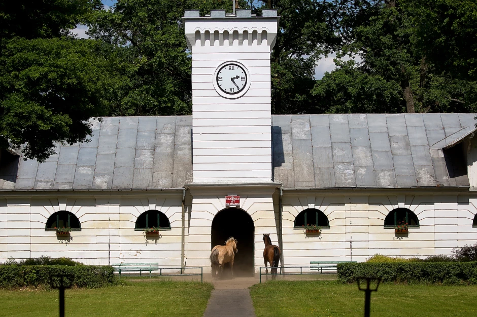 Arabiska häststuterier i Polen
