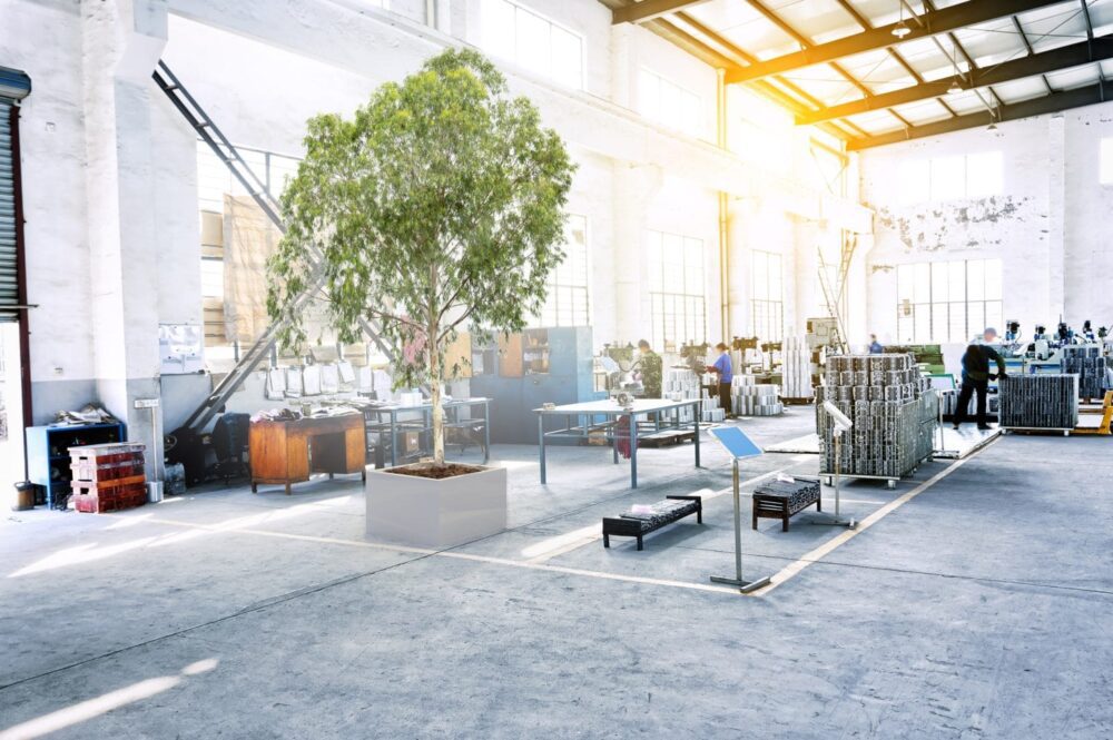 Hur man stabiliserar växter