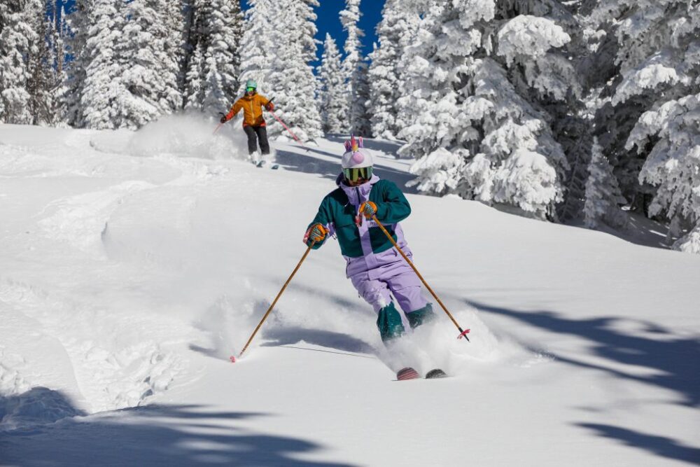 Hur mycket kostar premiumskidor