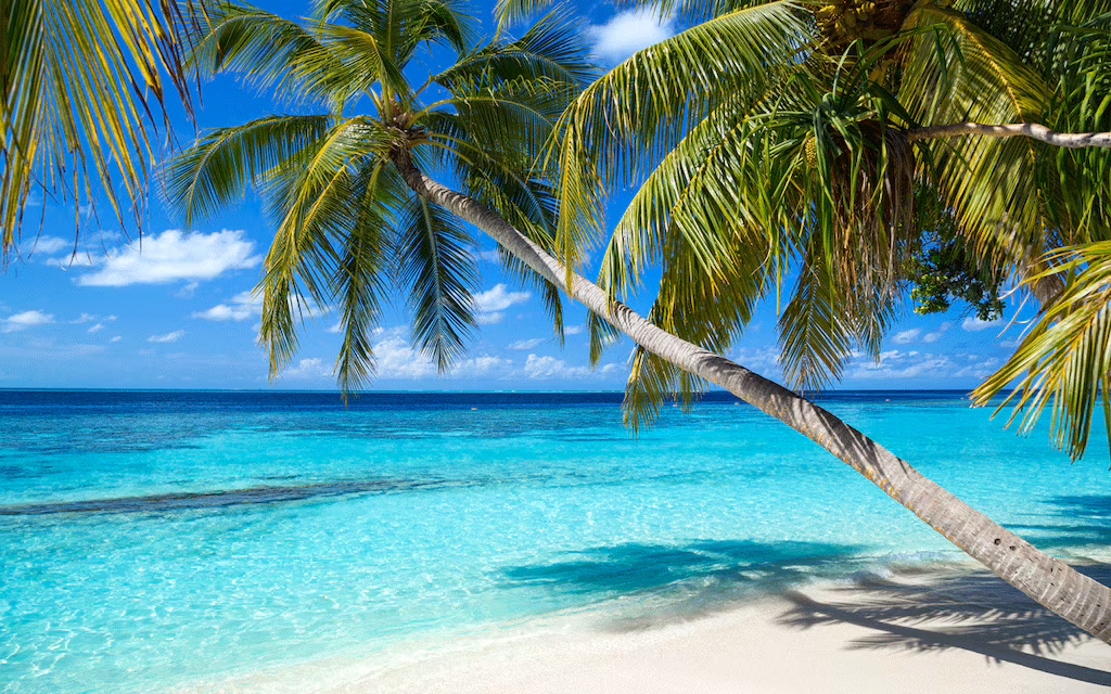 Semester på Karibien