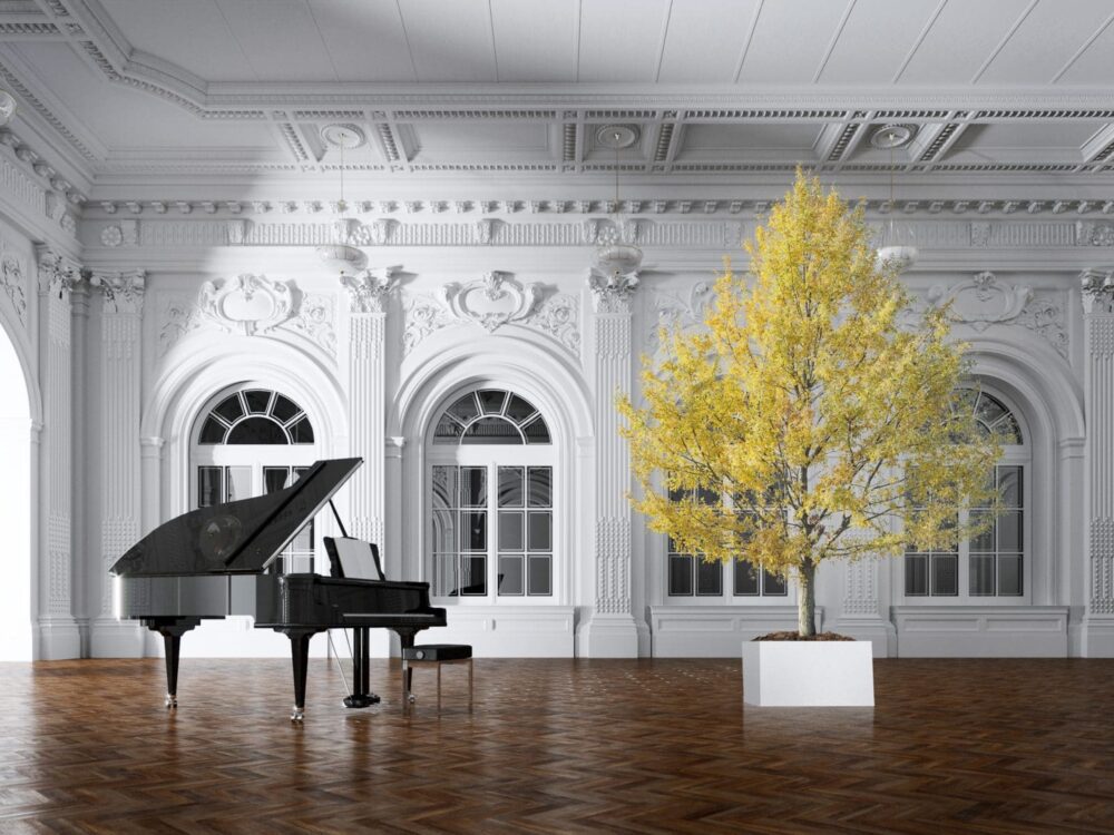 Stabiliserade växter