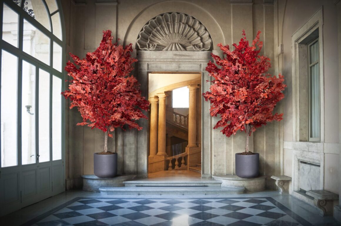 Vad innebär stabilisering av växter