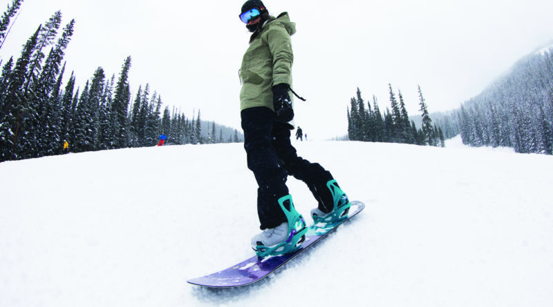 Snowboardbräda Pris