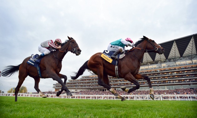 Frankel vinner över Cirrus Des Aigles 20 10 12 Foto Bill Selwyn