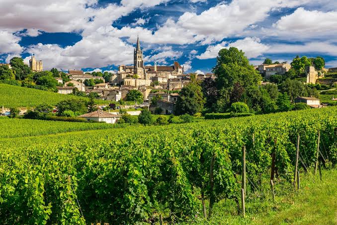 Bordeauxregionen Vin