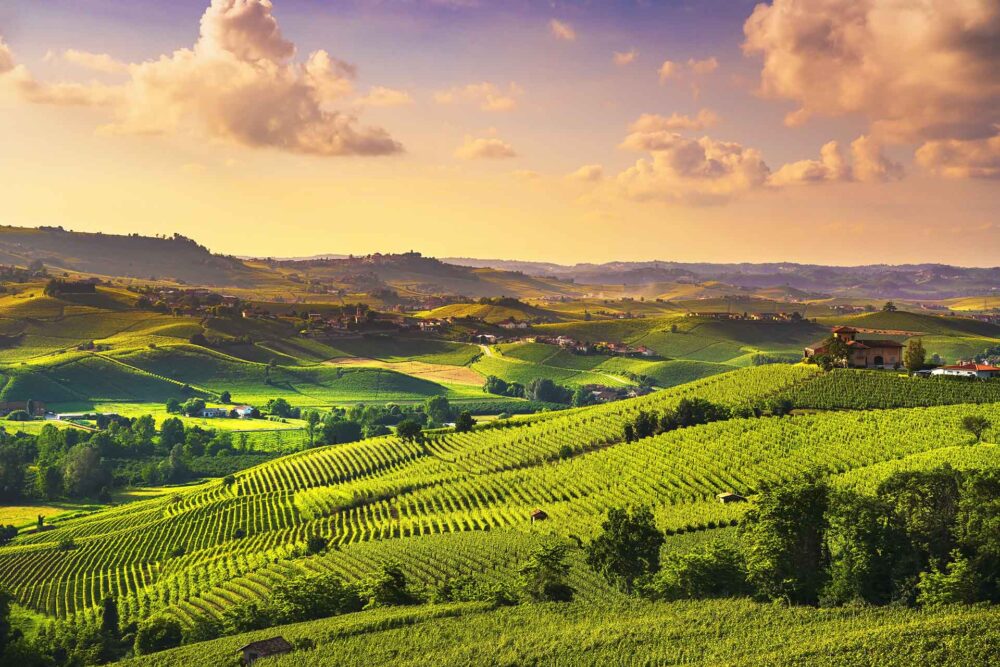 Langhe vingårdar solnedgångspanorama, Barolo, Piemonte, Italien Europa
