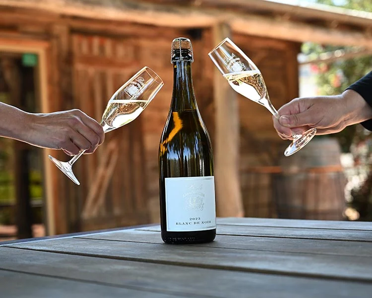 Blanc De Blancs Vs Blanc De Noirs Pris