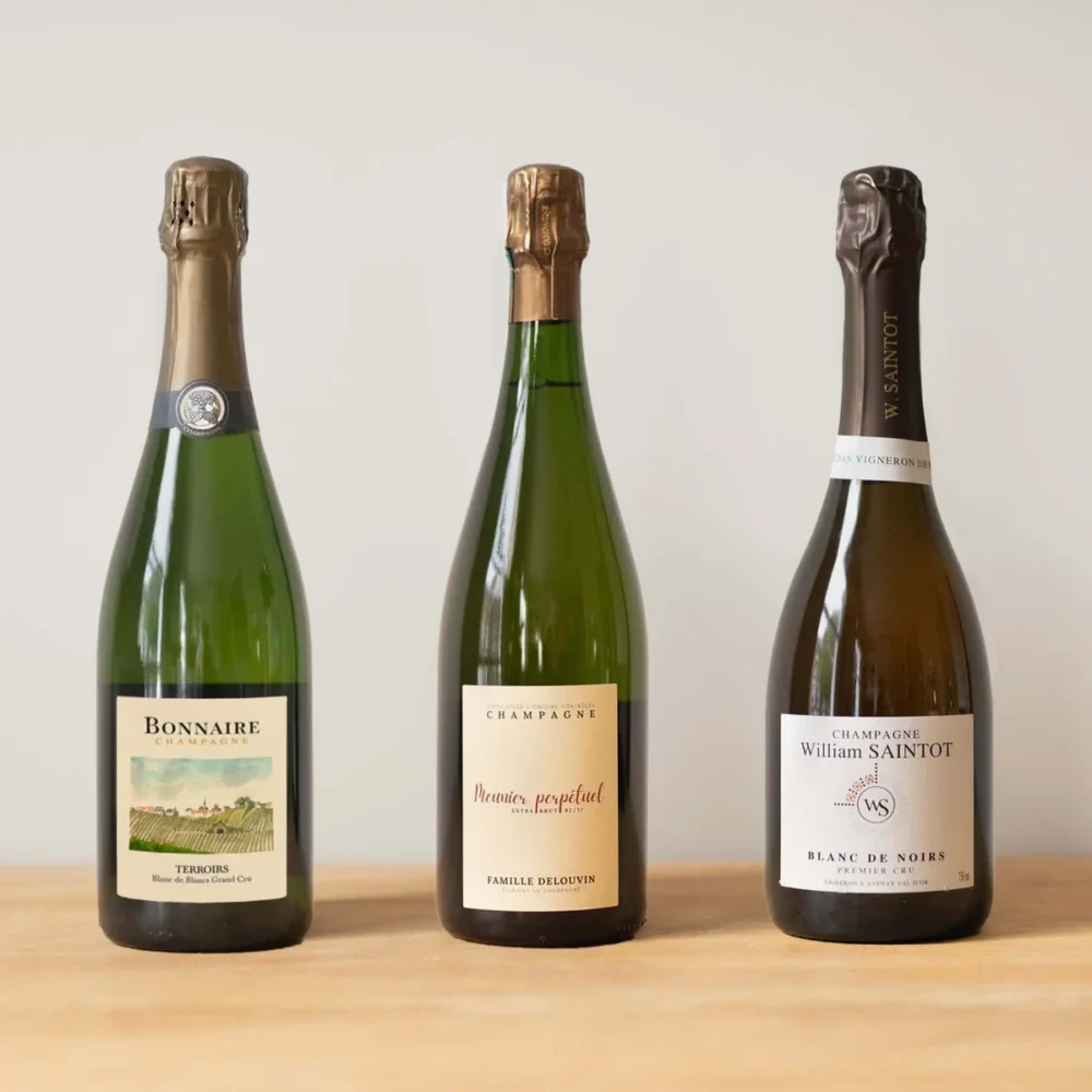 Blanc De Blancs Vs Blanc De Noirs Skillnader